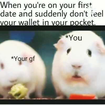 Heart beat 100000000.......