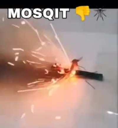 The war against mosquitoes