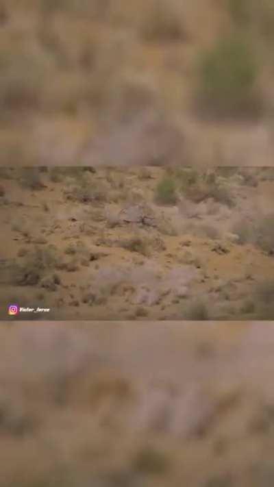 APNE GHABRANA NAHI HAI!!