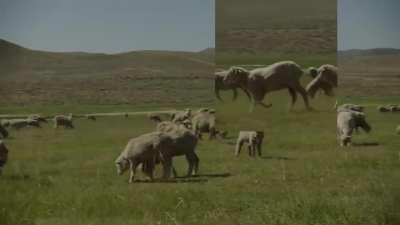 Keep My Spirit Alive OG (definitive version)