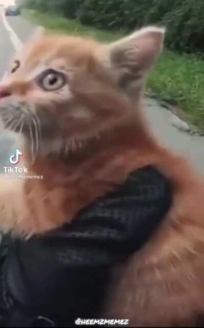 This video just makes me really happy