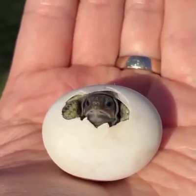 Welcome to the real world little buddy