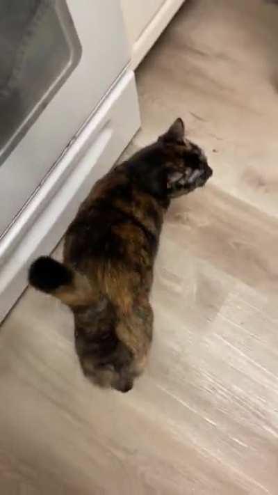 Our daily morning chat ❤️