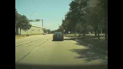 I'm sorry squirrel! Tesla forward & backward camera captures accident.