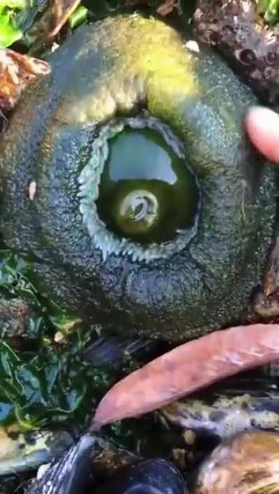 What on earth is this?? 😱