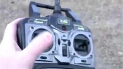 Todos los perritos se van al cielo