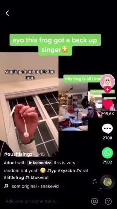 musica do sapo