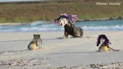 animememes - Video #9588