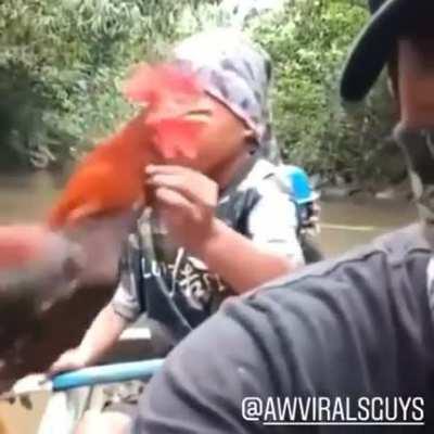 Кто бывал в деревне, тот поймёт непреодолимое желание сделать это...