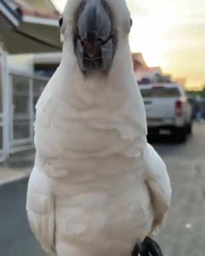 That Little Walk is Beautiful.