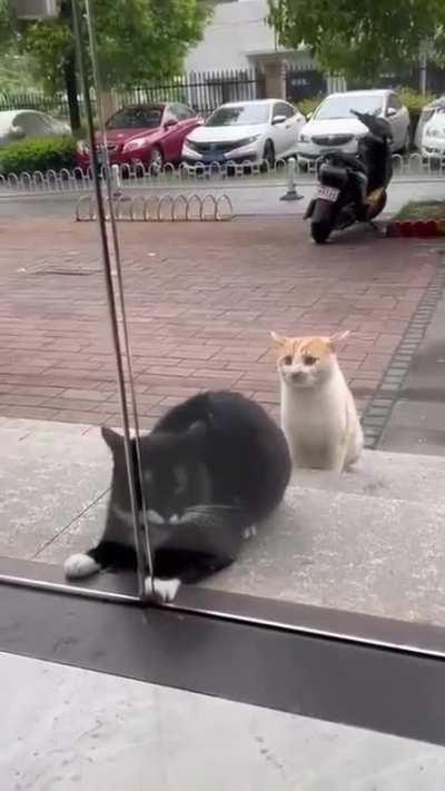 Hurry up! You're not doing it right!