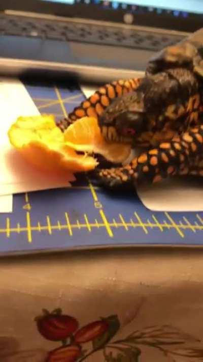 Проголодалась