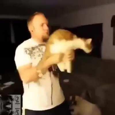 #TENTENÃORIR...sem nada pra fazer em casa é isso...ta vendo?!...agr temos um gato metralhadora entre nos