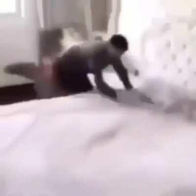 Thanks, I hate giant fake insects