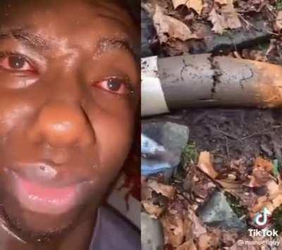 sponsored by Taco bell