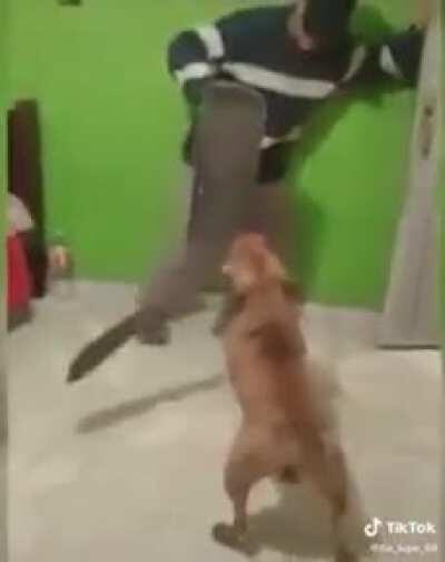 Perro con machete 😳👌
