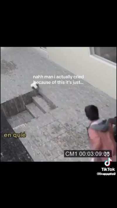 Couldn't imagine losing your best friend 