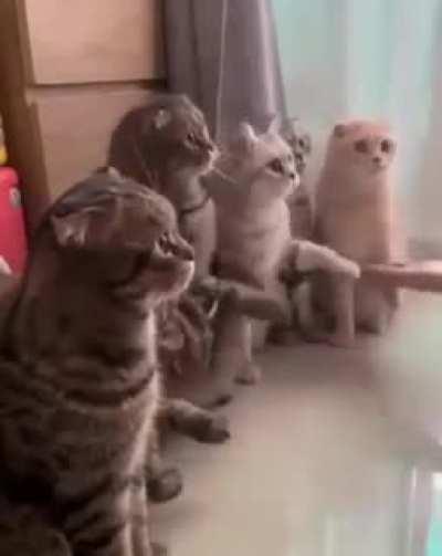 Thanks boss for coming