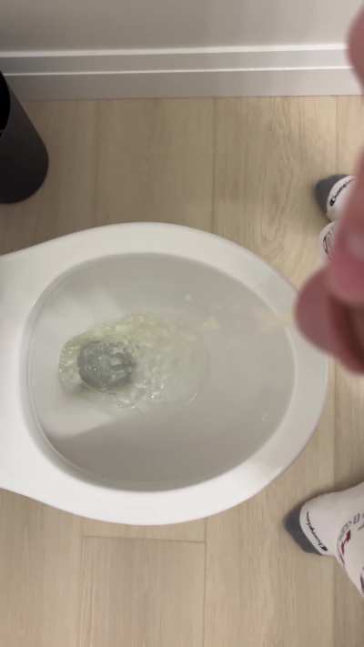 Do you want to be my toilet slut?