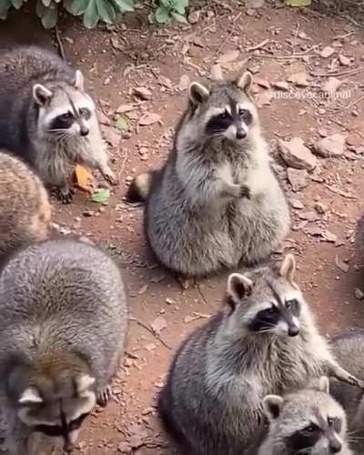 When you see the waitress bring your food