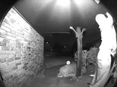 Do you want a banana?