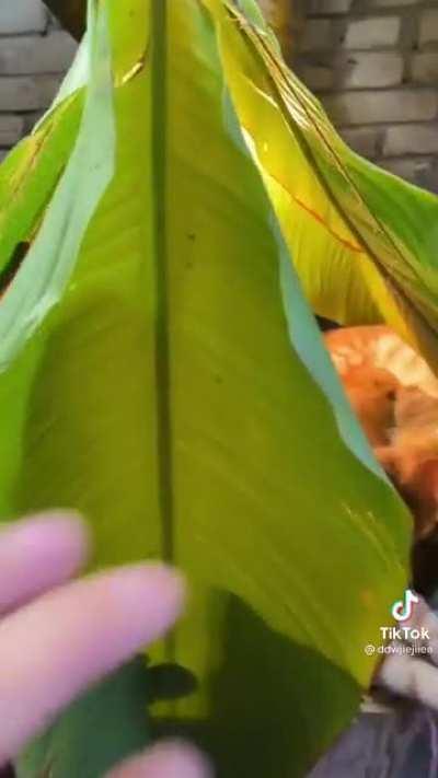 What heaven looks like