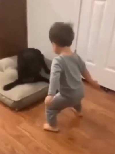 Little boy trying to play with his dog