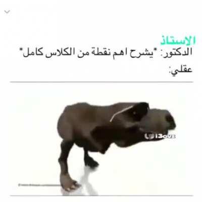 باتمان 😂😂😂😂😂😂😂😂😂