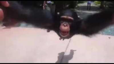 felt bad for negan in this scene