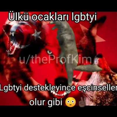 Yaşasın Ülkü Ocakları cCc 🏳️‍🌈🏳️‍🌈🏳️‍🌈