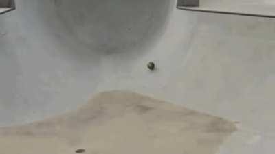 That's one way to hit a strike