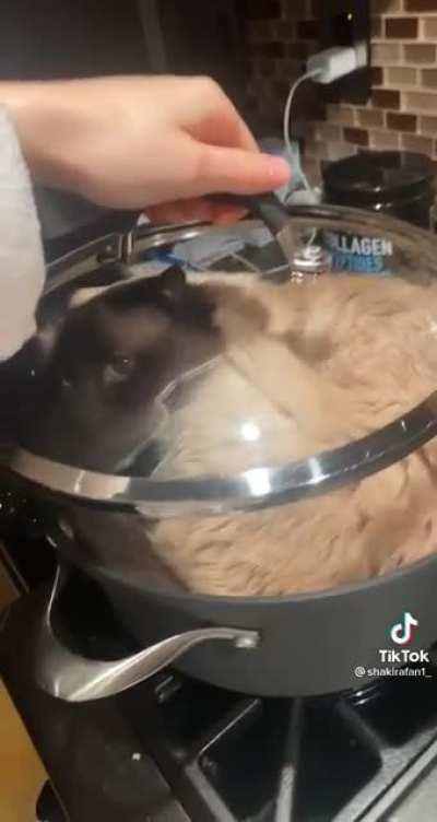 Compressed to liquid fur