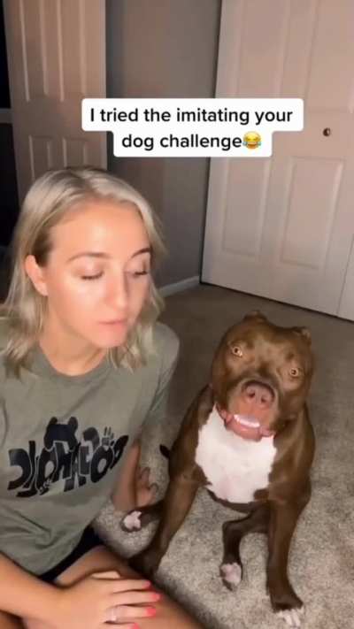 When Cuteness Meets Chaos 🐶💥 | The Dog That Stole the Show #shorts