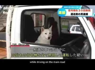 Average News in Nihongguo