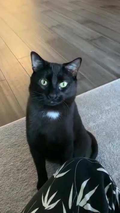 Don&rsquo;t touch my head please. No thank you.