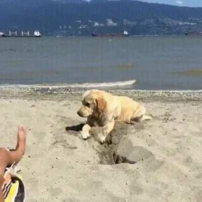 Break is over, this hole is not going to dig itself.