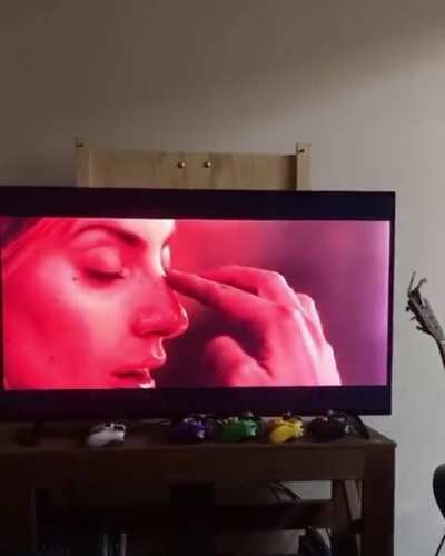 May I stroke your nose?