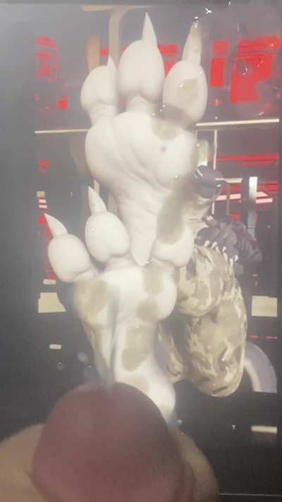 Slow-mo paw/feet tribute.