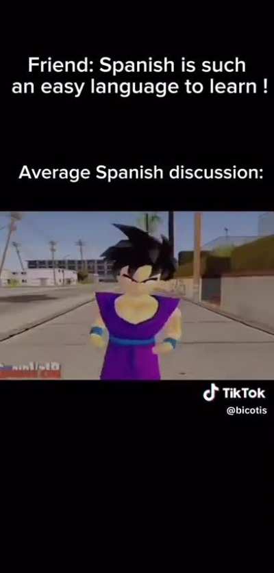 chilean experience 