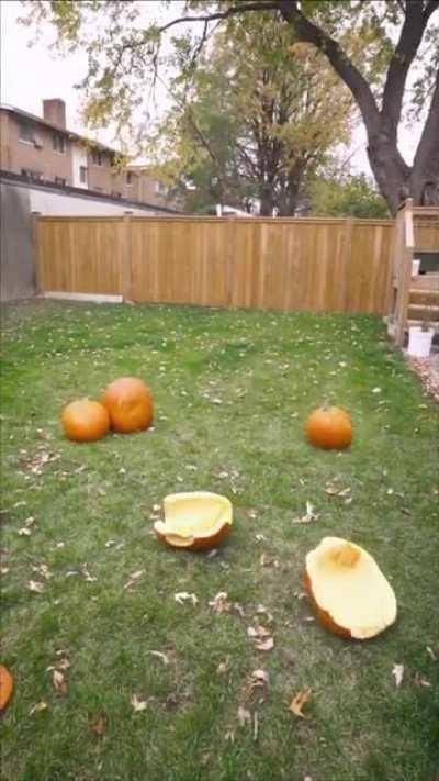 Guy turns himself into random objects...