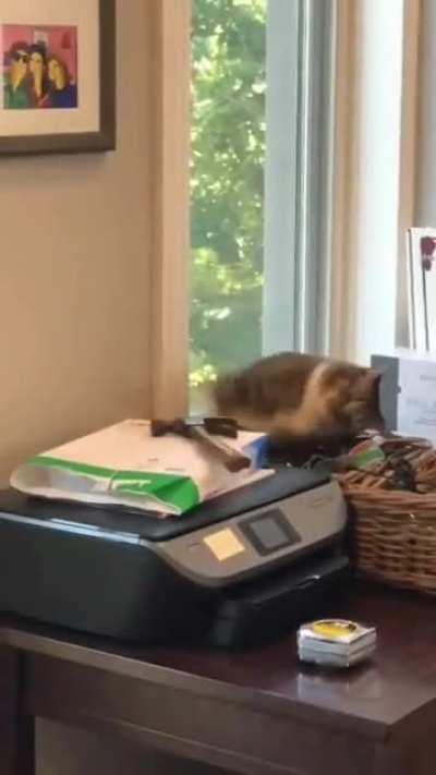 Hammering The Hammer