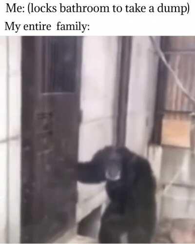 Bro, I've only been in here for ten seconds