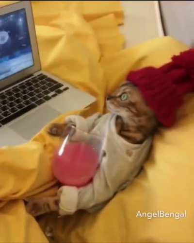 Hey! That floof is living my life!