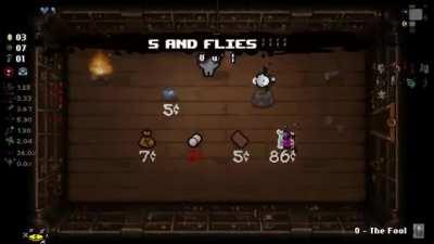 Sand flies AAAAAAAAAAAAAAAAA