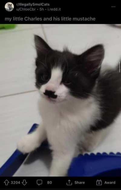 Kitler