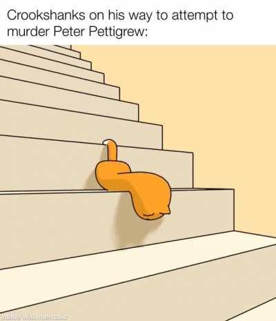 “He’s the most intelligent of his kind I’ve ever met”