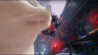 First time using a green screen enjoy