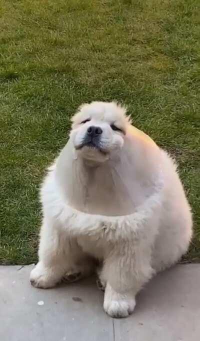 Someone looks like they’ve been playing with the funnel in the backyard