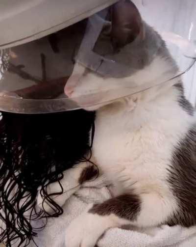 Making Sure It’s Working