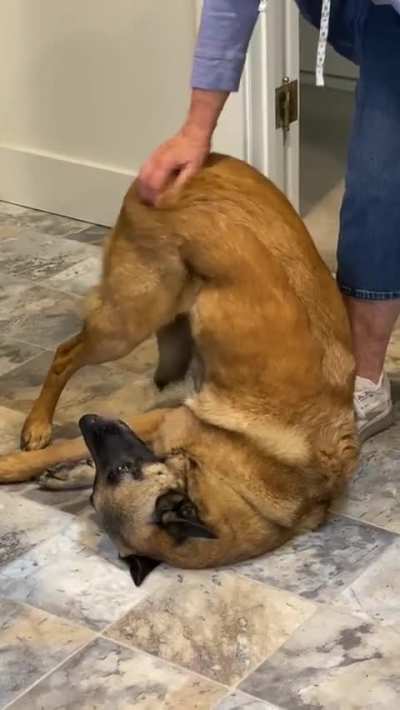 She really loves a butt scratch.